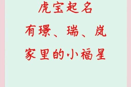 傍晚6点出生的属虎男孩如何起名，宜用什么字姓名