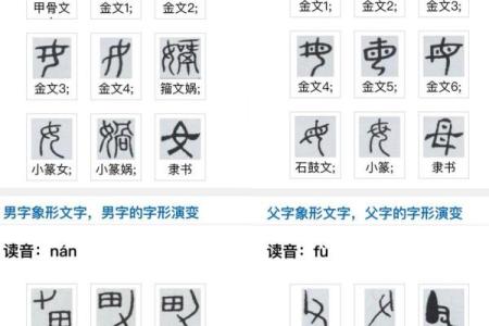 康熙字典15画的字-姓名学-华易算命网姓名