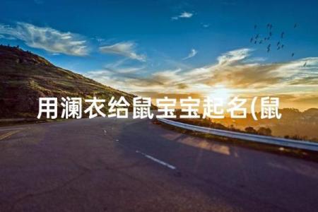 上午出生的属鼠男孩起名宜用什么字姓名