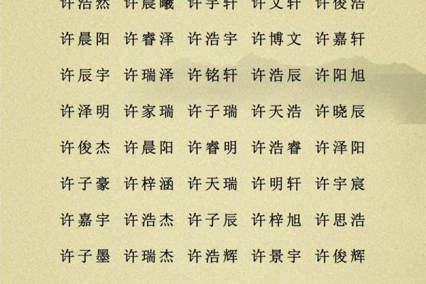 属龙辛时出生的男孩怎样起名，宜用什么字姓名