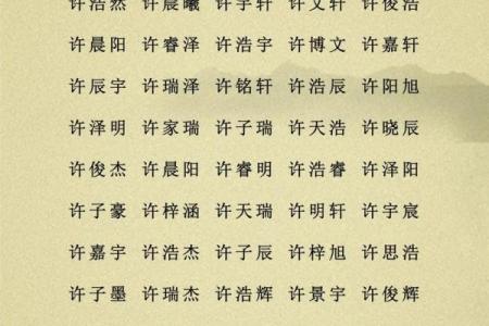 属龙辛时出生的男孩怎样起名，宜用什么字姓名