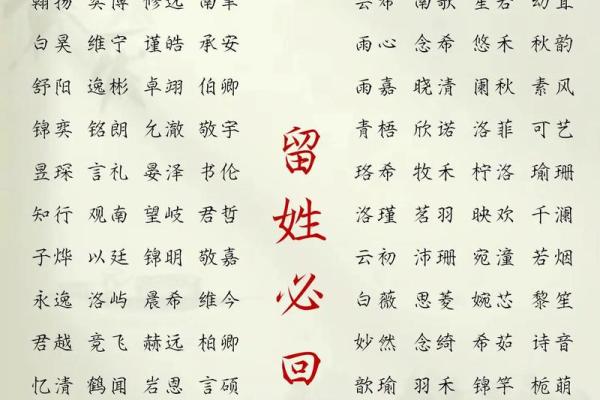 2019年5月24号卯时出生的男孩起名时要注意什么姓名